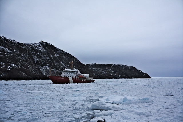 The Leonard J Cowley following the Henry Larsen icebreaker through the sea ice into St. Johns harbour