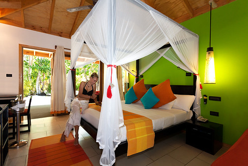 Garden Room Interior