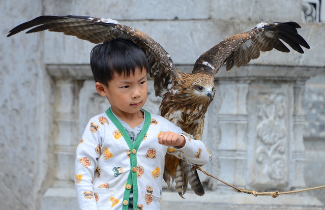 A boy and his bird of prey, Lijang (丽江), Yunnan Province (云南省), China (中国)