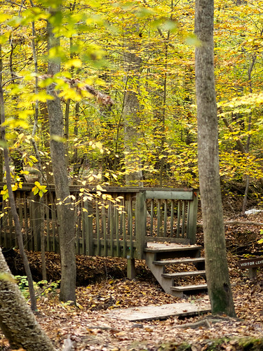 PB100097.jpg | OLYMPUS DIGITAL CAMERA | Duane Schultz | Flickr