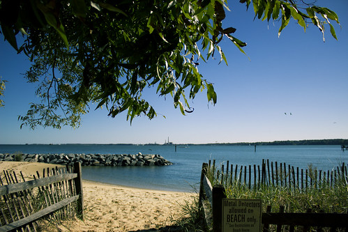 beach nature beautiful point virginia nice sand natural sandy scenic peaceful adventure va gloucester curious roads adventures hampton bliss beauti hamptonroads beachpark hamptonroadsva gloucesterpointva gloucesterpointbeachpark