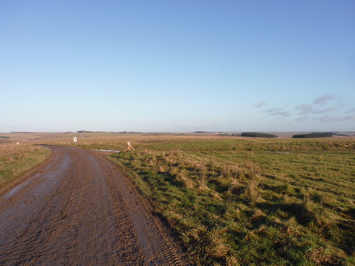 Long Backviews along American Road on Salisbury Plain SWC Walk 286 Westbury to Warminster (via Imber Range)