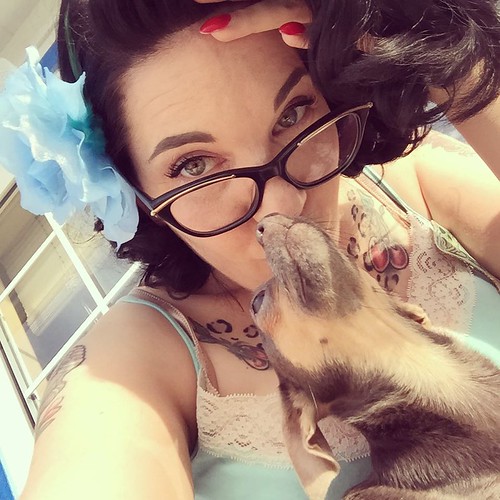 Just a girl and her dog. #chihuahuasofinstagram #chihuahuasofinstagram #chihuahua #pinupstyle #vintagestyle #chihuahuasofinstagram | by She Knits in Pearls