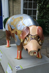 Ipswich Pigs Gone Wild 2016 - 06. Steam Punk Pig