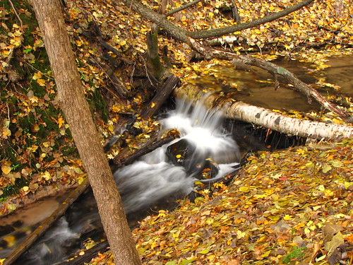 longexposure autumn tree fall leaves creek canon geotagged waterfall stream michigan canonpowershotsx10is hardydamnaturetrail hardydamtrail hardydamrusticnaturetrail