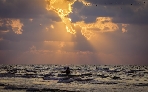 2012 brazoriacounty freeport gulfofmexico june mabrycampbell surfside surfsidebeach texas us usa unitedstates unitedstatesofamerica angler architecturalphotography architecturephotography beach birds coast coastal colorful commercialphotography dawn dramatic fineartphotography fisherman fishing image morning nature oneperson orange photo photograph photographer photography seascape sun sunrise surffishing waves weather yellow f71 october 2014 october42014 20141004h6a8627 24mm ¹⁄₆₀sec 100 tse24mmf35l fav10 fav20 fav30 fav40