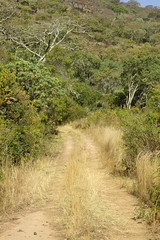Road conditions on the Cashel scenic route between Cashel and Chimanimani