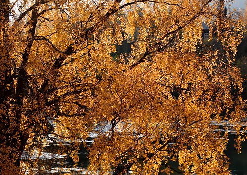 autumn høst lågen vinstra gjestehus hollandsk