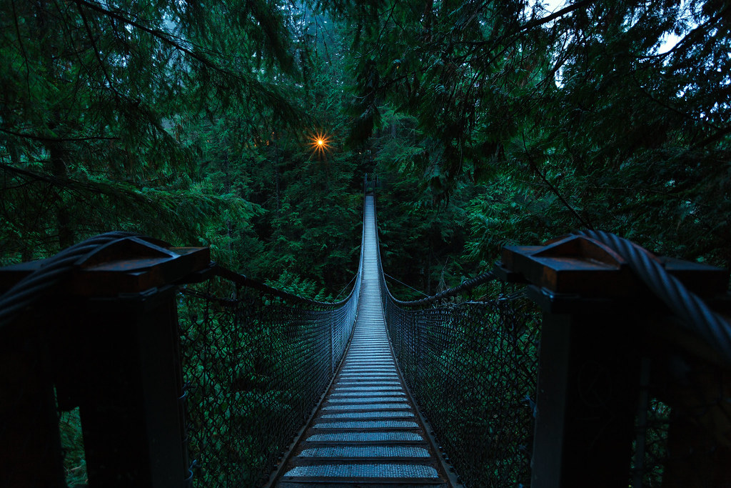 A Bridge To Light