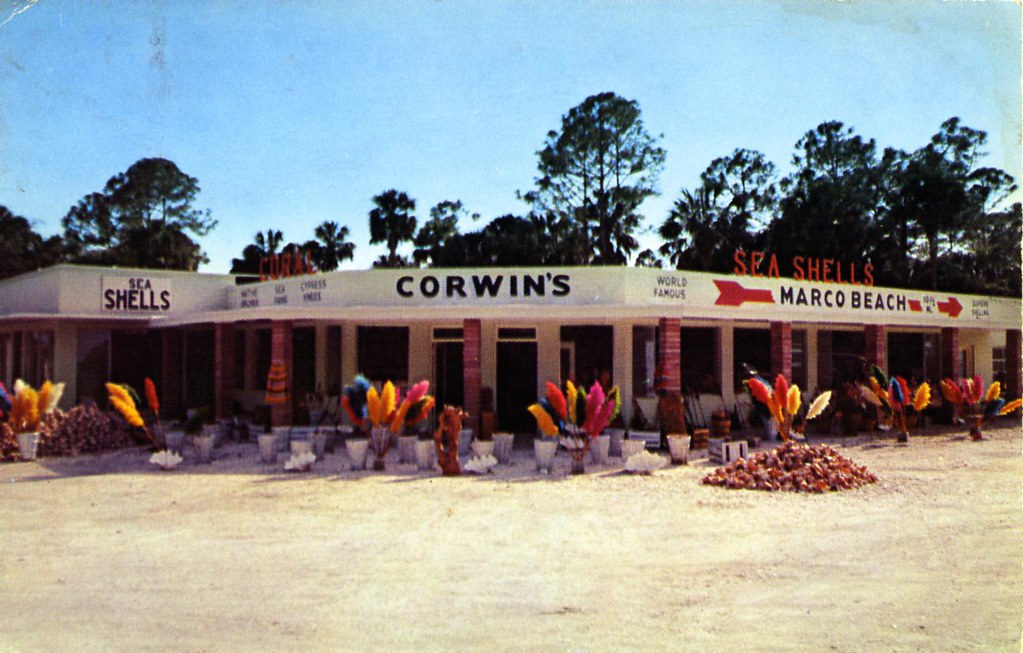 Corwin Shell Royal Palm Hammock FL - a photo on Flickriver