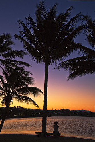 light sunset sky colour tree canon palmtree stunning l airliebeach 24105 northernqueensland brianspicer canon5dmk3 australiatrip2014