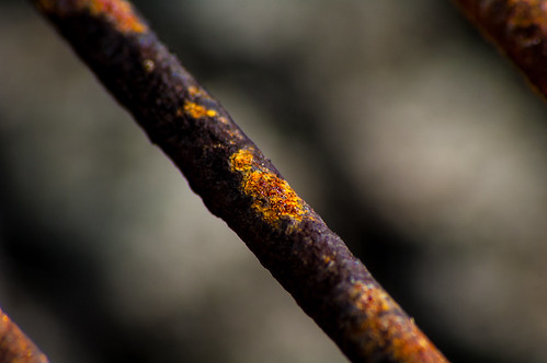 Rust closeup | by chb1848