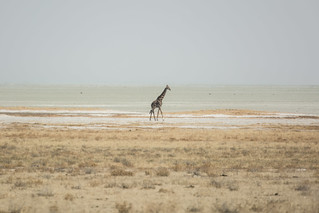 Namibia | by theflickedproject