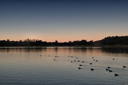 canberra act lakeginninderra lake ginninderra sunset canon ducks family headinghome endofday duck australia evening oddoneout john capital ss reflection jungle jack