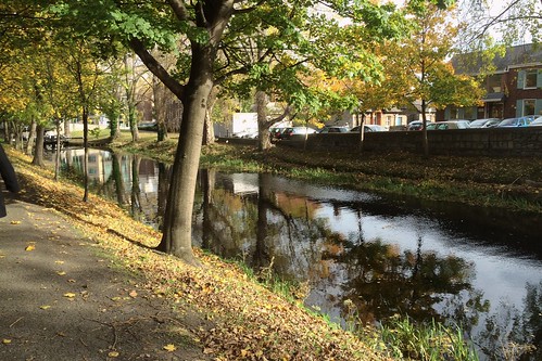 towpath reflections grand canal dublin