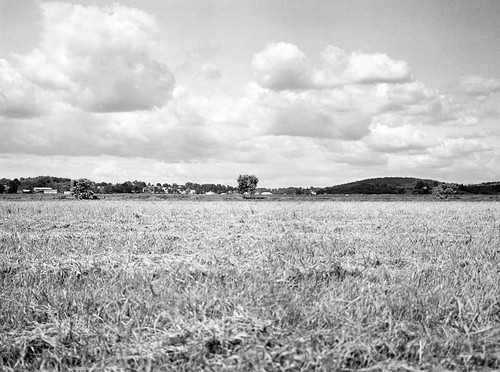 county new york trees bw orange white ny black film grass clouds landscape florida kodak farm onions dirt bronica medium format goshen portra400 etrsi