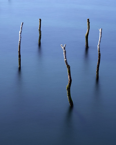 Oyster Farm 3 | by Aerindad