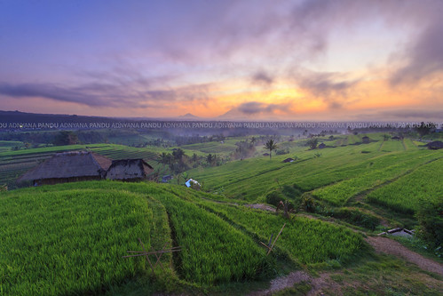 travel bali black sunrise indonesia photography tour card guide ricefield jatiluwih baliphotography balitravelphotography baliphotographytour baliphotographyguide