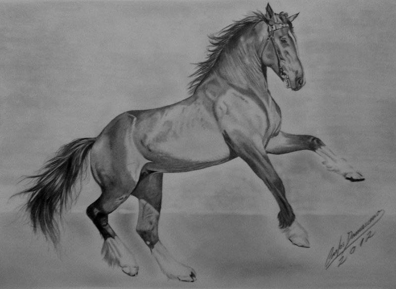 Desenho realista cavalo  Desenho realista, Desenho, Realista