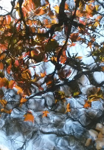 fall in water | by HDH.Lucas