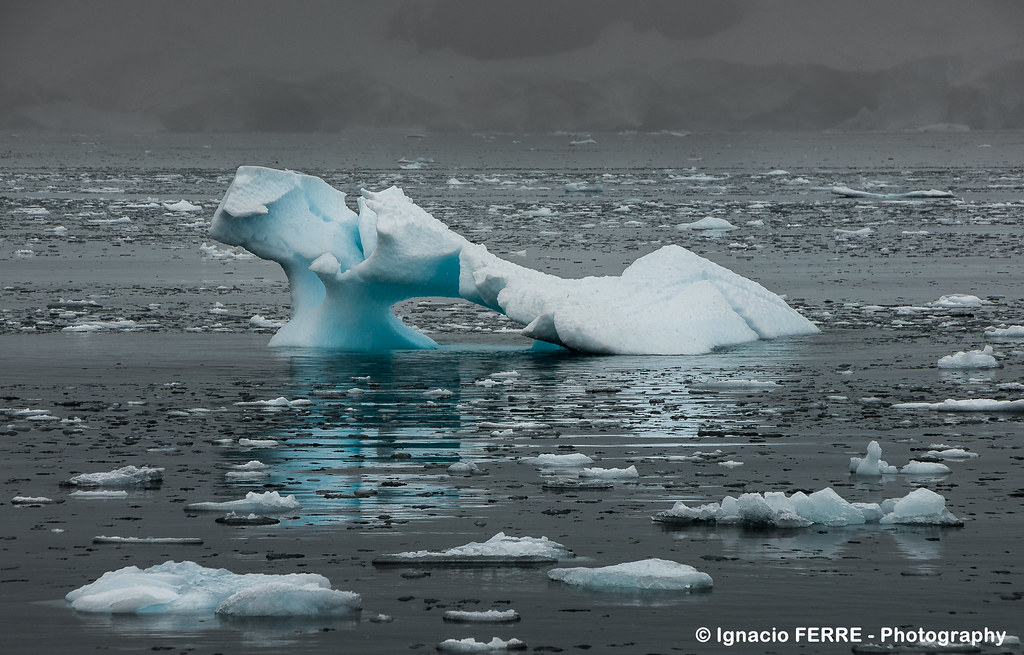 Small iceberg | _DSC0011_Lr-2 | Ignacio Ferre Pérez | Flickr