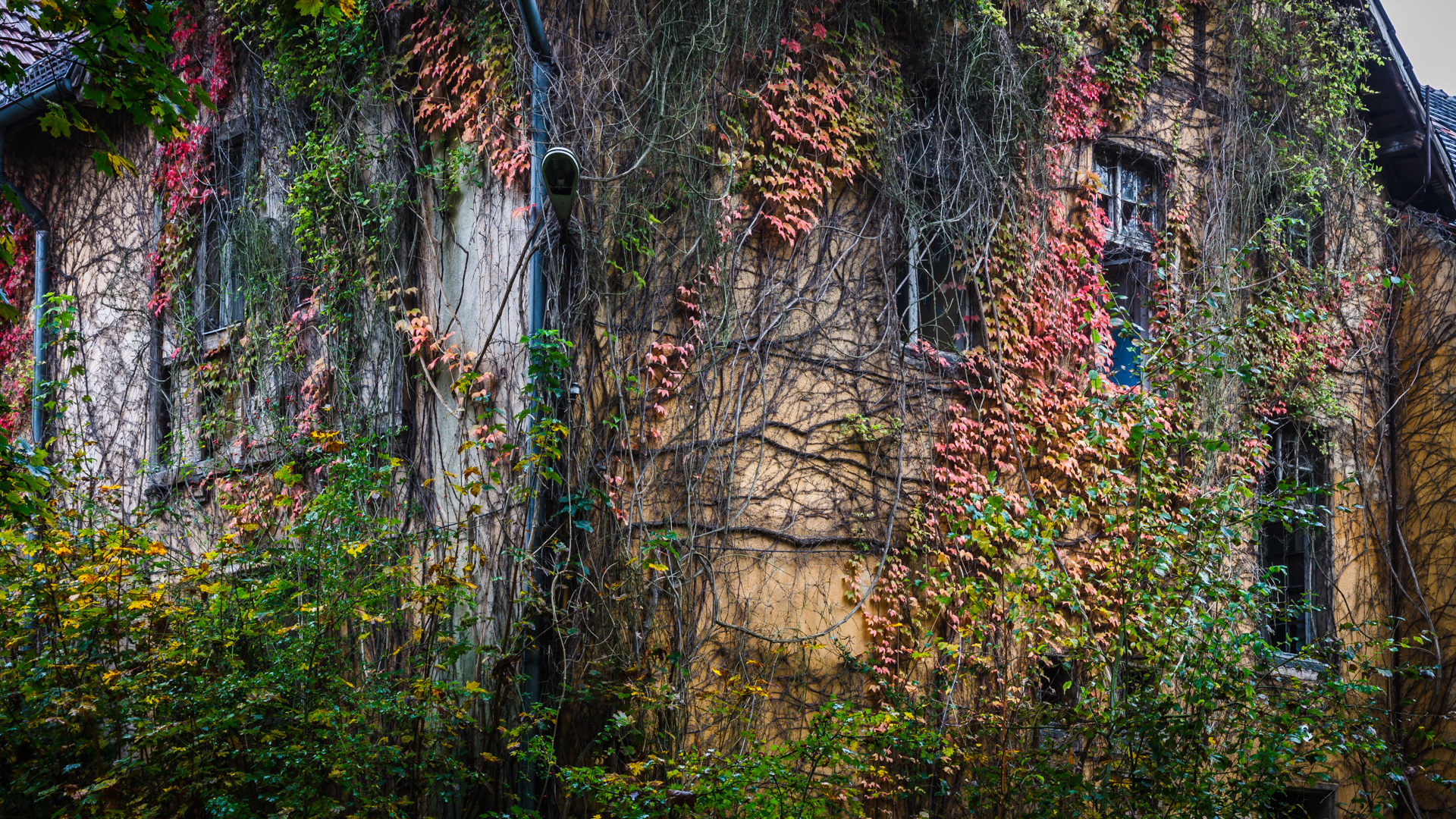 Beelitz-Heilstätten Oktober 2014