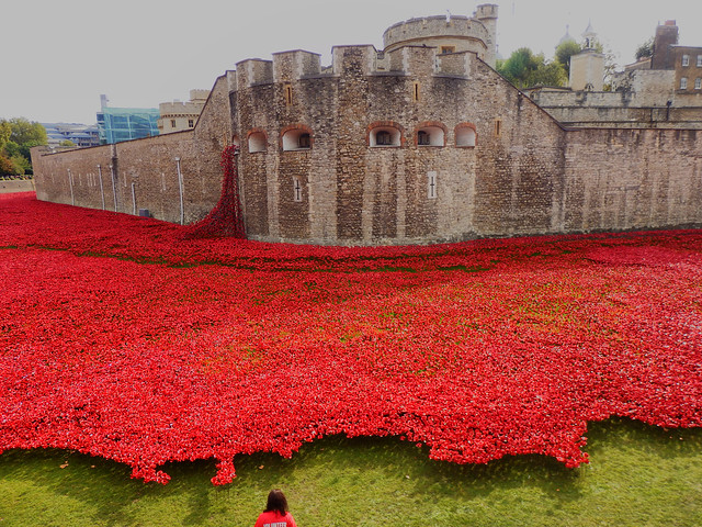 Blood Swept Lands and Seas of Red, The Tower of London [Explored]