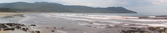 Red algae stains the water - Panorama of Cloudy Bay, Bruny Island