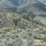 IMG_7946