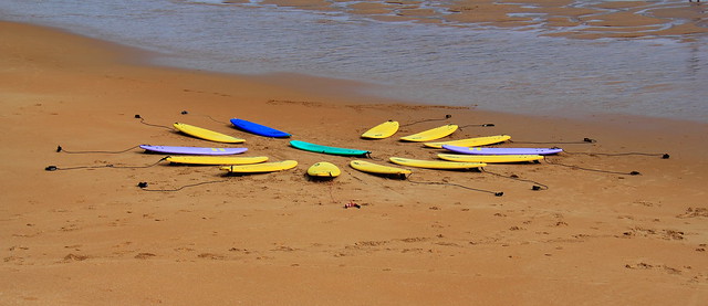 IMG_18218_1 SURF