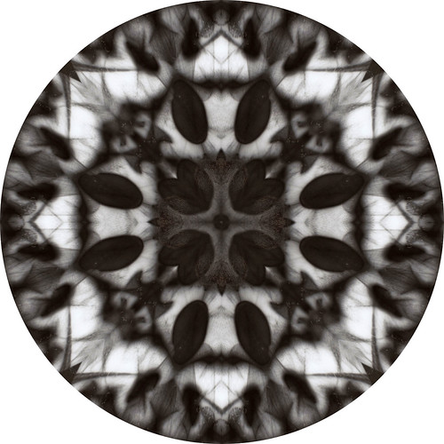 photogram kaleidoscope | by hannah.williams96