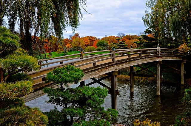 Bridge to the Japanese Garden- Explore #206 '14 - Chicago Botanic Garden - Glencoe IL