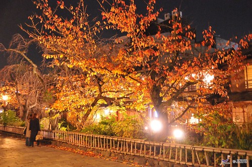 Kyoto street (©Y.Shimizu©JNTO)