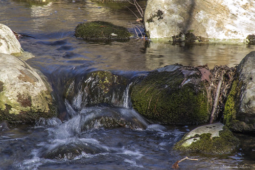 smack53 njbotanicalgardens ringwoodstatepark water stream creek waterfalls river rocks ringwood newjersey nikon d3100 nikond3100 spring springtime scenic