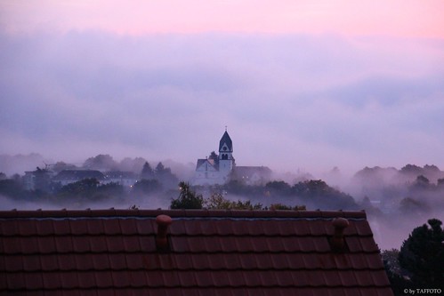 morning mist fog sunrise germany deutschland nebel frankfurt sonnenaufgang allemagne morgen kloster sunrising leverdusoleil kelkheim