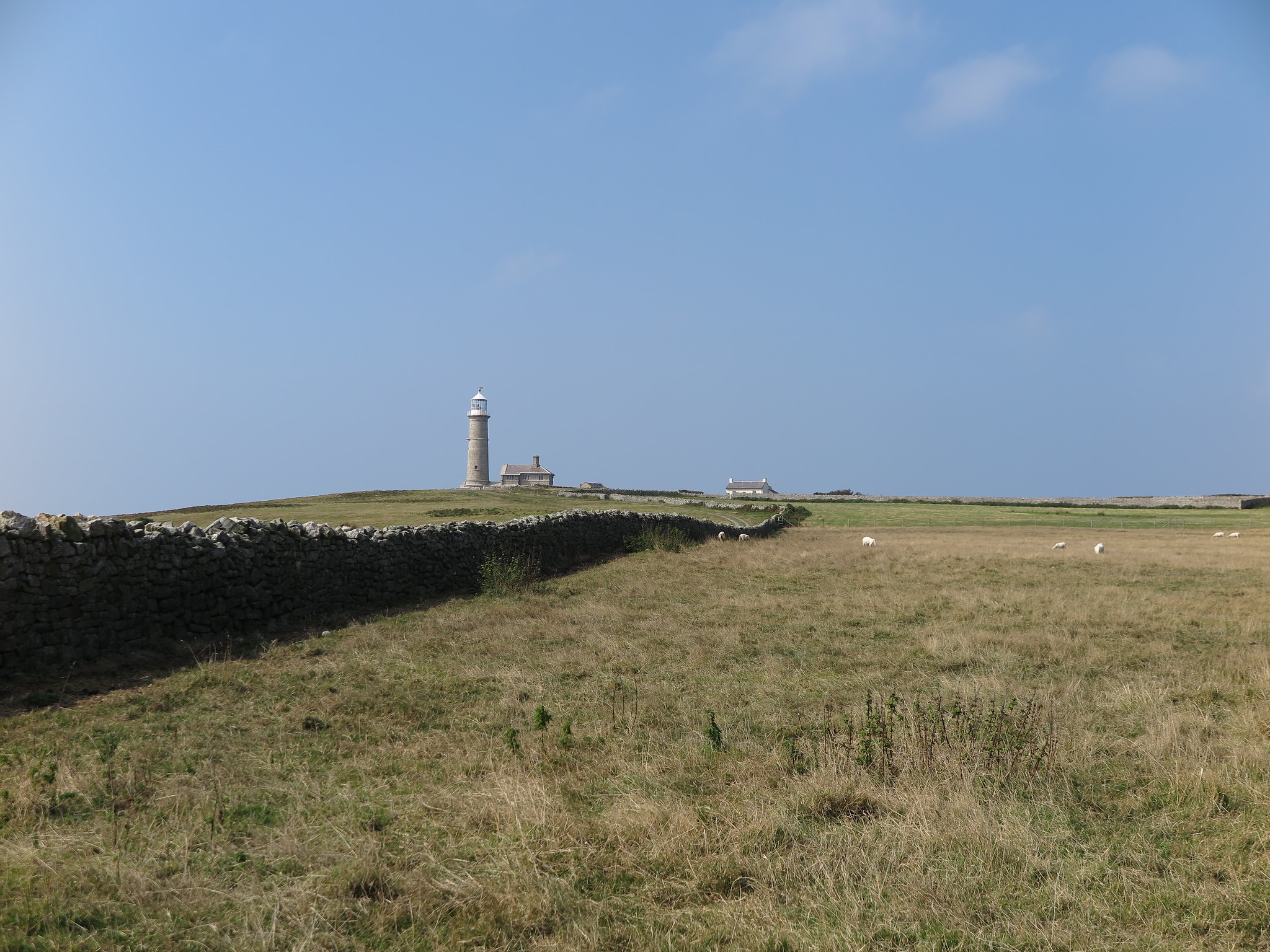 (Lundy Trip)