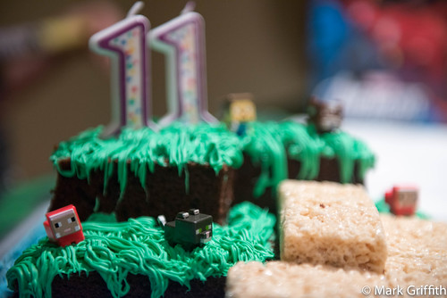 Minecraft Cake