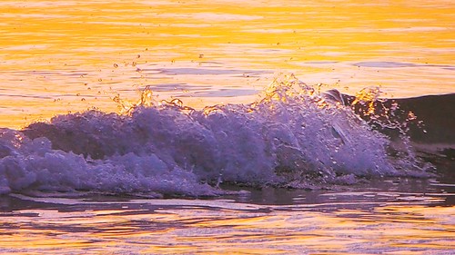 2014.11.04 Golden Splash ! by eriko_jpn, OLYMPUS DIGITAL CAMERA         sea golden wave pacificocean splash