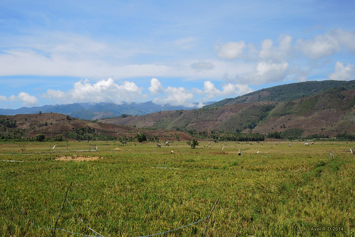 sumatra indonesia champs montagnes