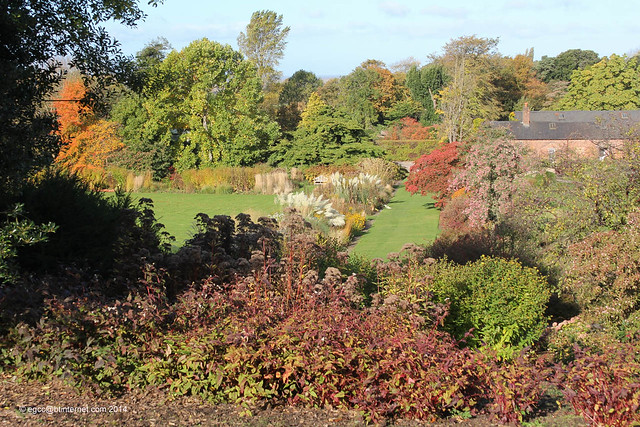 Ness Gardens, Autumn/Fall Colours
