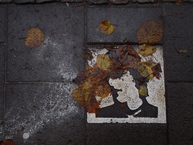 Pavement face with leaves