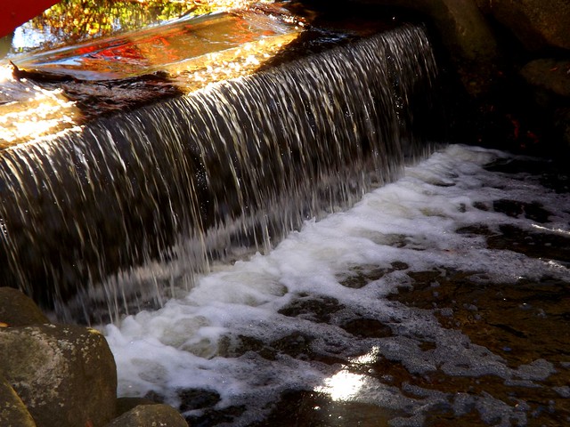 Cranbrook Campus: Waterfall at Red Bridge, Oriental Garden