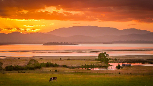 arthurhighway australia panasonic panasoniclumixdmclx7 tasmania tassie bucolic clouds countryside cow glow landscape orange rural sunset travelphotography water murdunna