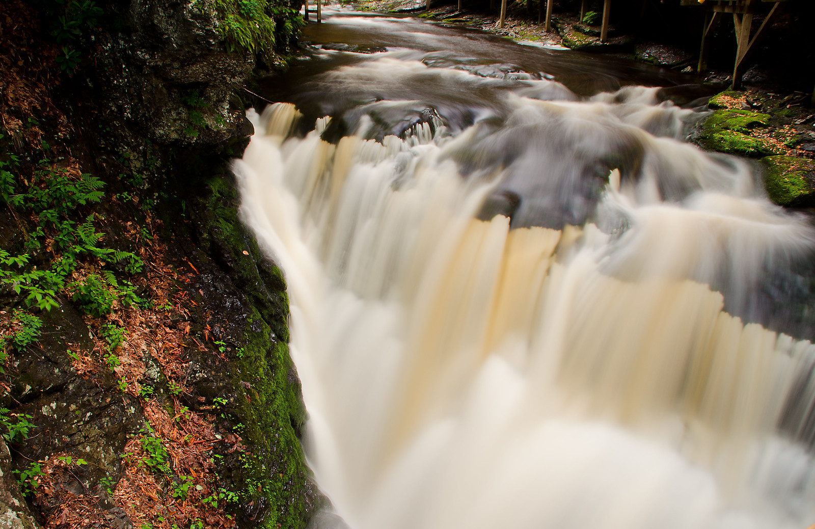 Bushkill Park | Flickr