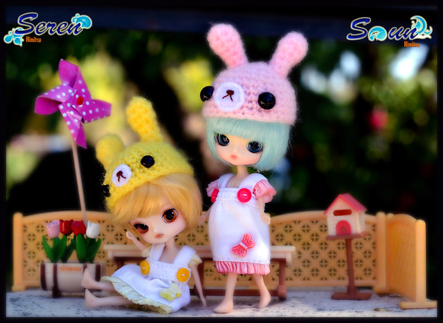 Seren y Soun - Little Dal Hello Kitty y Little Dal Cinnamoroll
