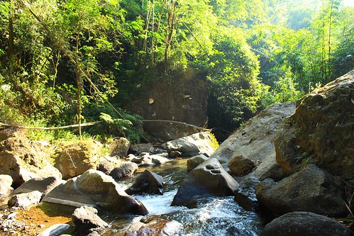 trip trees holiday green nature water sunshine forest indonesia waterfall scenery day outdoor stones sunny