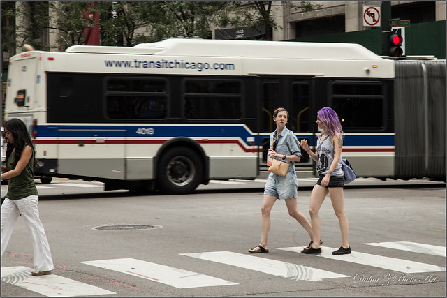 Chicago in Transit