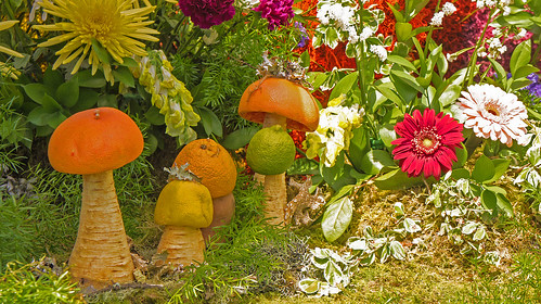 Magic Mushrooms Portland Oregon