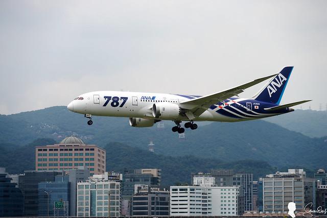 All Nippon Airways (ANA) Boeing 787-881 JA801A