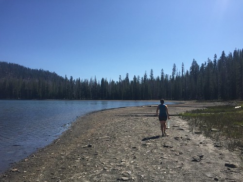 PCT: Day 102